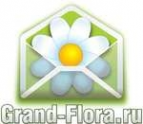 Логотип компании Доставка цветов Гранд Флора (ф-л г. Шлиссельбург)